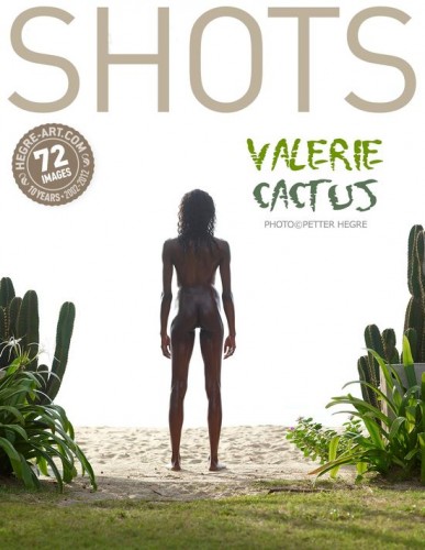 HA – 2012-10-18 – Valerie – Cactus (72) 10000px