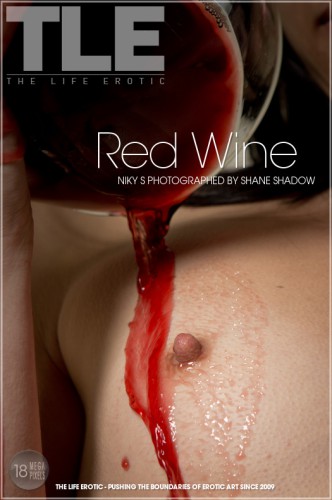 TLE – 2013-02-22 – NIKY S – RED WINE – by SHANE SHADOW (120) 3456×5184