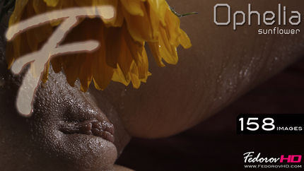 FHD – 2012-02-01 – Ophelia – Sunflower (158) 2592×3888