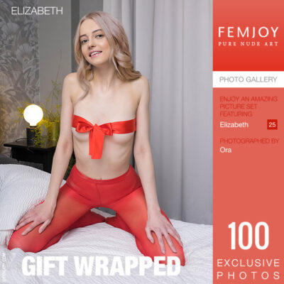 FJ – 2022-11-24 – Elizabeth – Gift Wrapped – by Ora (100) 3255×4324