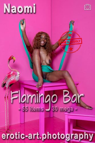 Erotic-Art – 2023-11-16 – Naomi – Flamingo Bar (55) 3667×5501